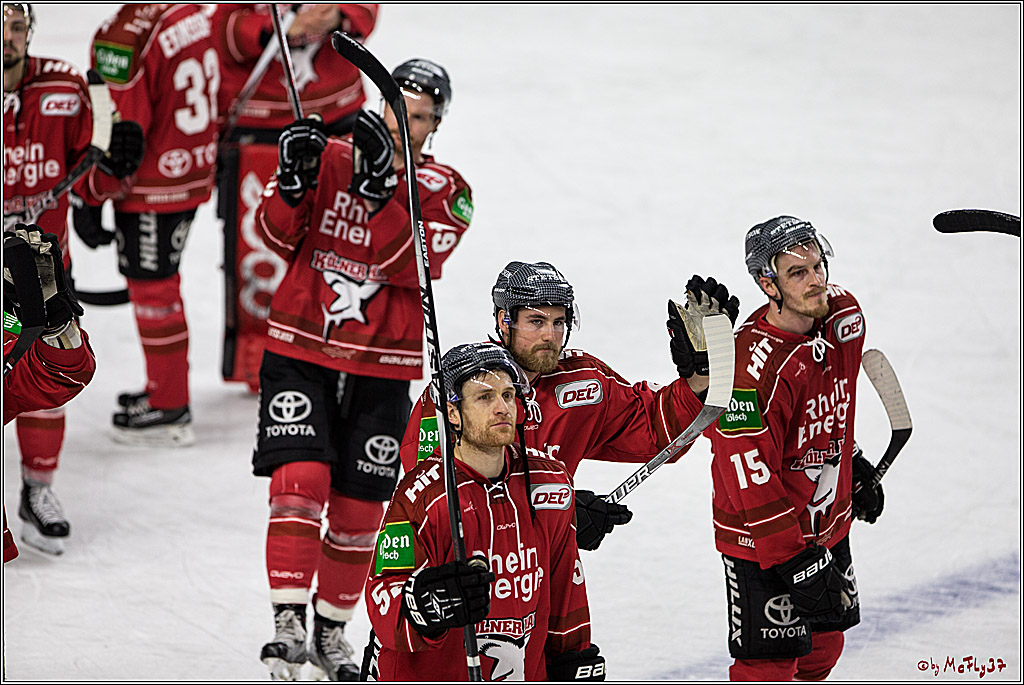 DEL, Koelner Haie - Grizzlys Wolfsburg, 21.03.2017